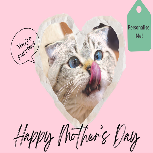 Customise Your Own Cat Mother’s Day PostCake