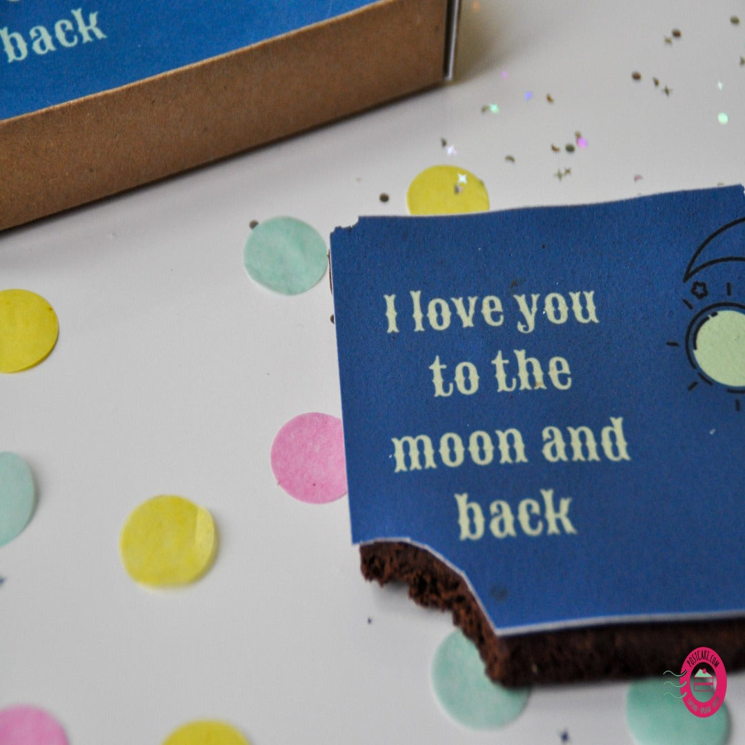 Moon And Back Cake